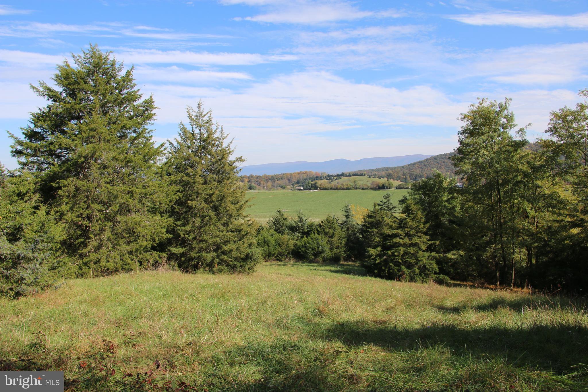 Senedo Rd Mount Mount Jackson, VA 22842 - Photo 6 of 25
