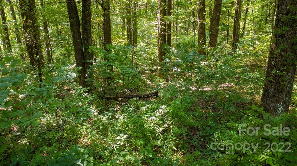 Tbd Tbd Boyd Cemetary Road Spruce Pine, NC 28777 - Photo 14 of 21 Gallery Image 14
