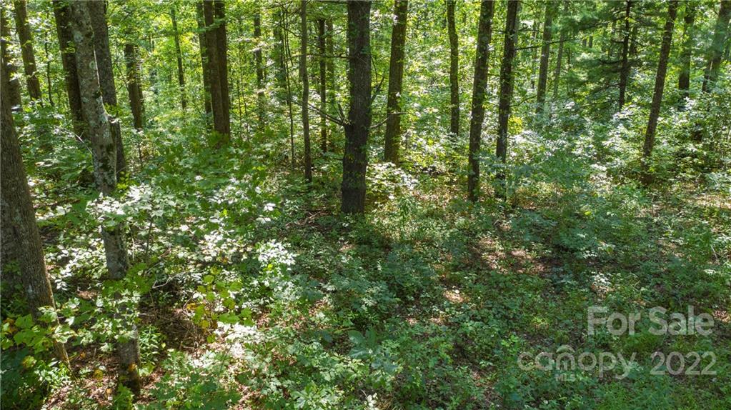Tbd Tbd Boyd Cemetary Road Spruce Pine, NC 28777 - Photo 15 of 21 Gallery Image 15