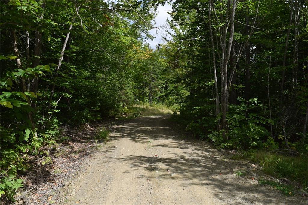 R11-l36 Shin Pond Road Patten, ME 04765 - Photo 17 of 30 More roads/trails