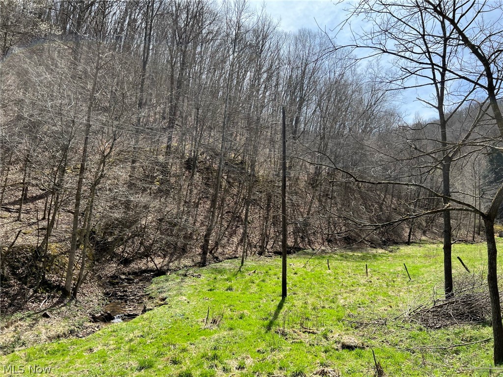 729 Deaden Run Road Gassaway, WV 26624 - Photo 16 of 23 Gallery Image 16