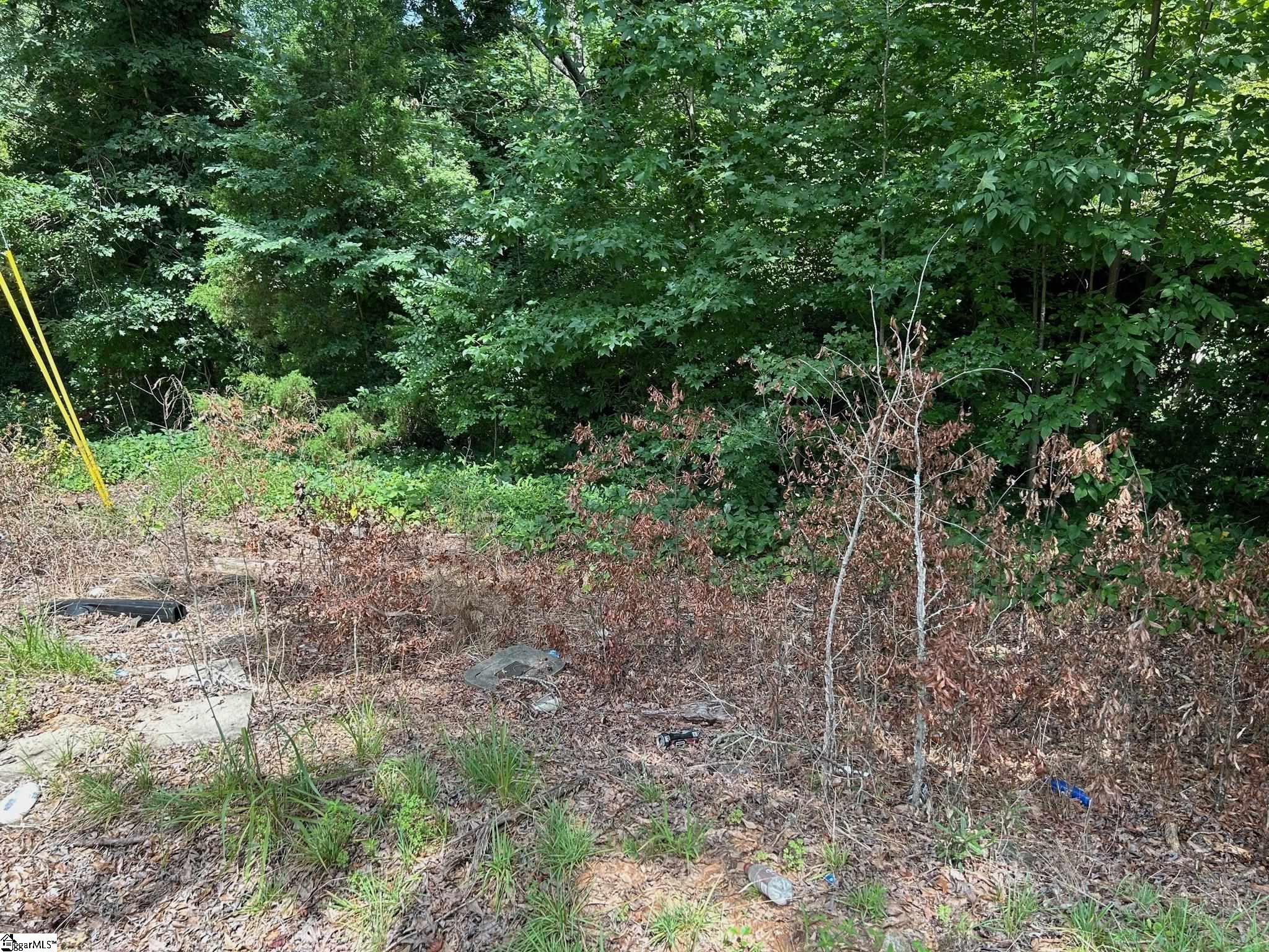 10 Mill Street Pelzer, SC 29669 - Photo 1 of 8 Gallery Image 1