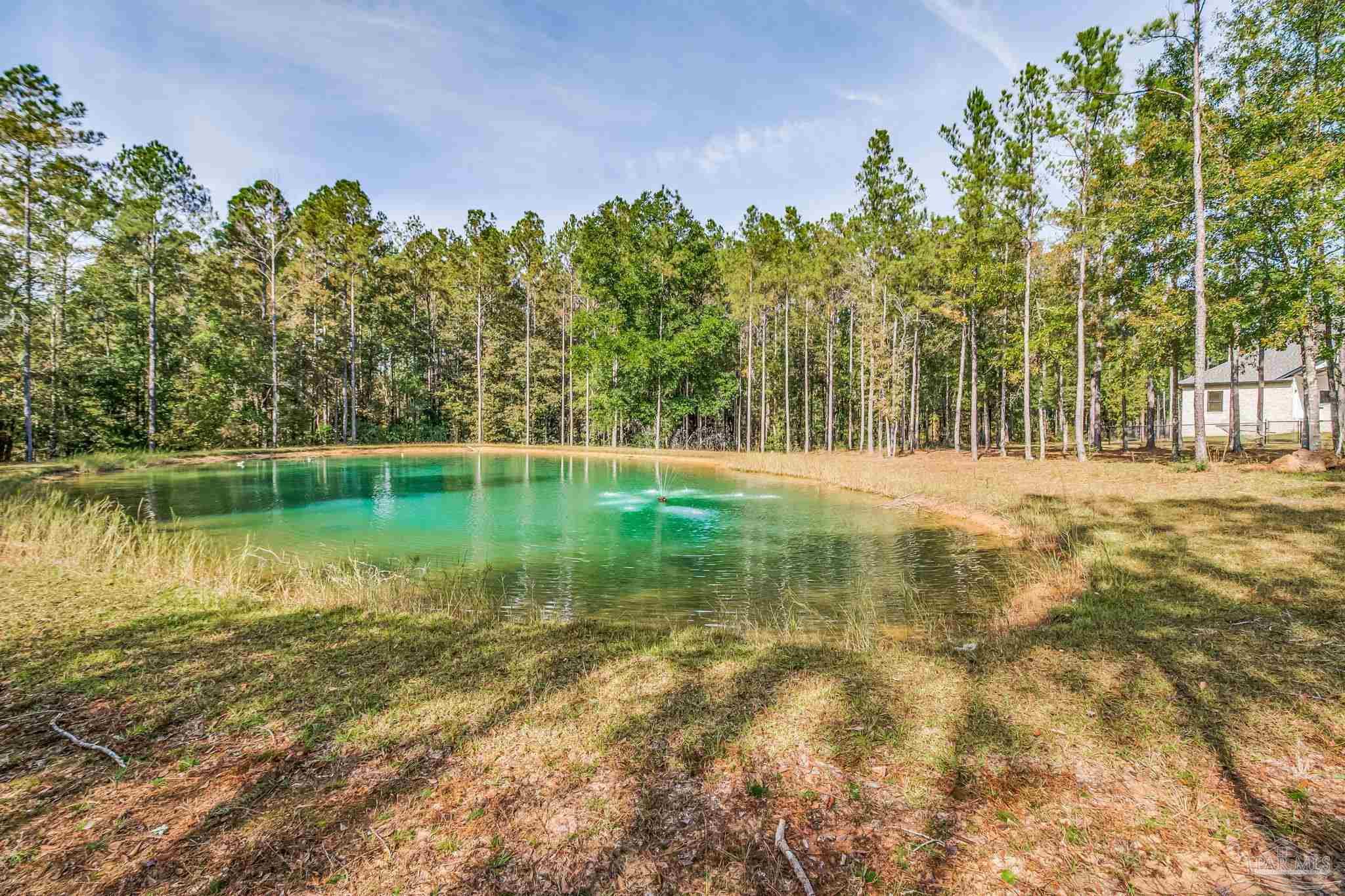 2329 Molino Bridge Road Pace, FL 32571 - Photo 4 of 65 a backyard of a house with lots of green space and fountain