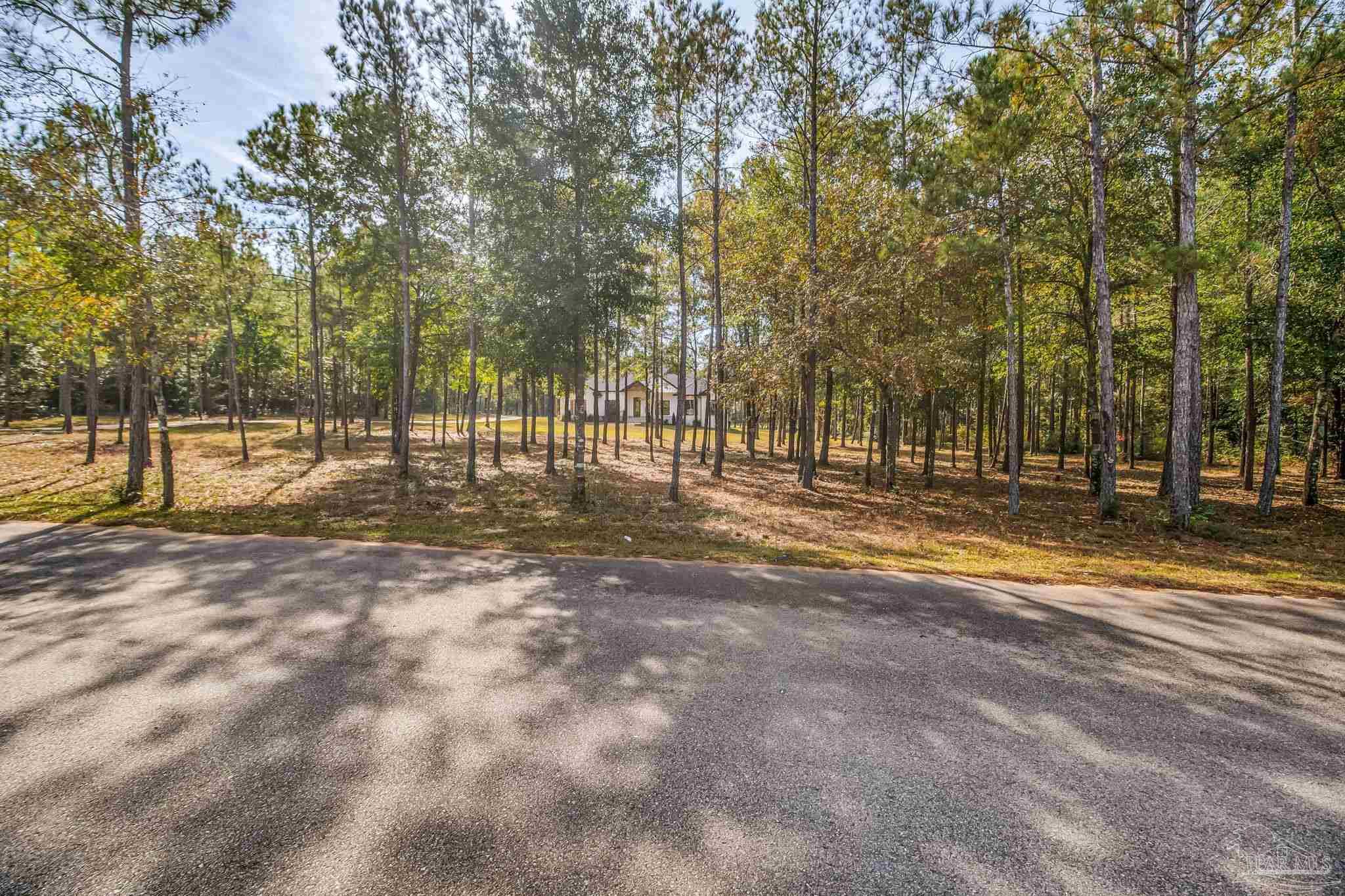 2329 Molino Bridge Road Pace, FL 32571 - Photo 46 of 65 a view of outdoor space with playground and green space