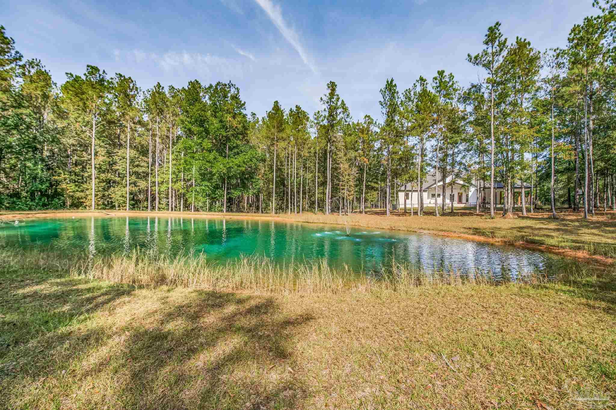 2329 Molino Bridge Road Pace, FL 32571 - Photo 53 of 65 a view of a lake view with a large trees