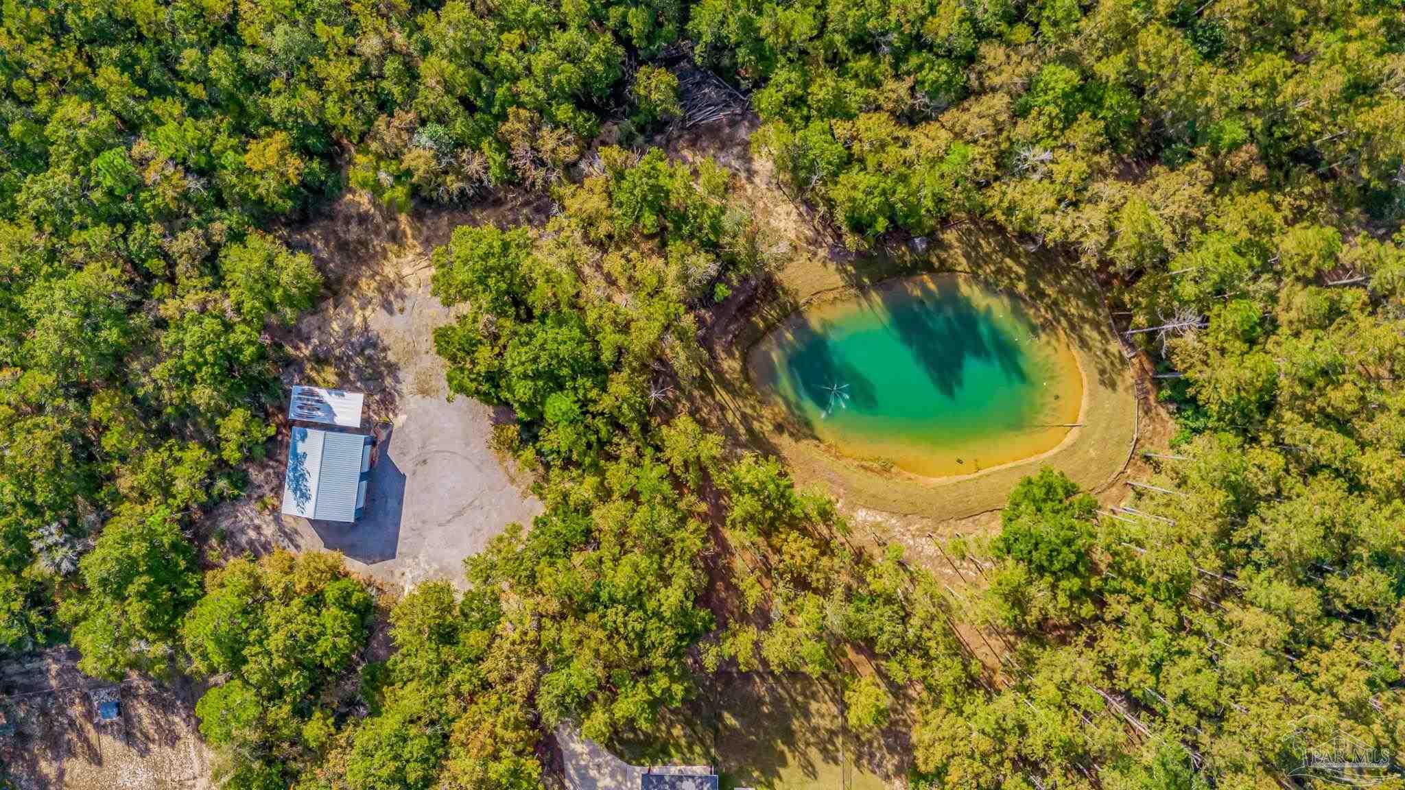 2329 Molino Bridge Road Pace, FL 32571 - Photo 59 of 65 a close up of a house in a yard