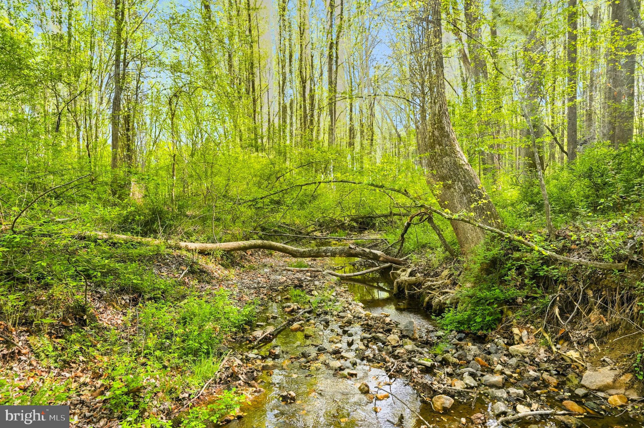 7049 Mink Hollow Road Highland, MD 20777 - Photo 18 of 72