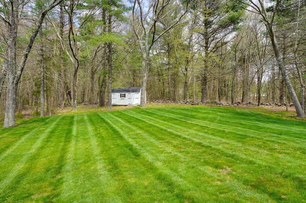 24 Broken Tree Road Medway, MA 02053 - Photo 6 of 39