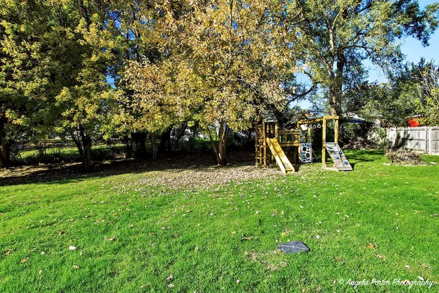 a view of a park with large trees