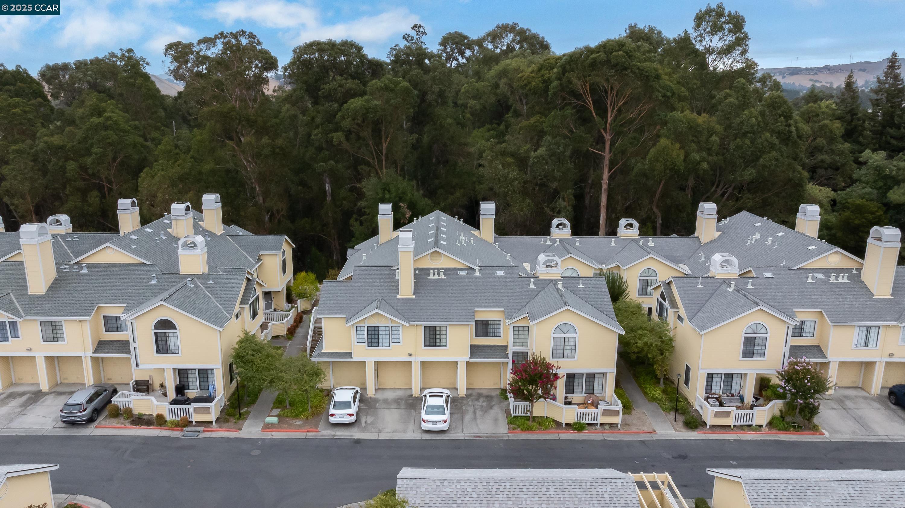 1202 Devonwood Hercules, CA 94547 - Photo 42 of 46 an aerial view of multiple houses