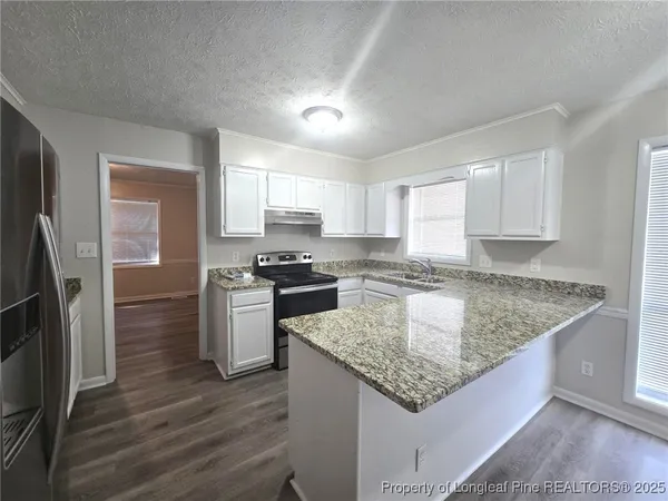 a kitchen with a stove a sink and a refrigerator
