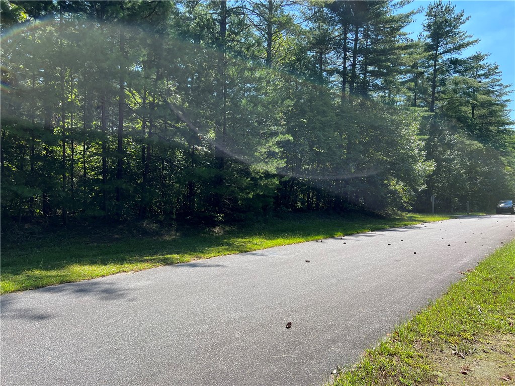 20 Vineyard Park Sunset, SC 29685 - Photo 2 of 9