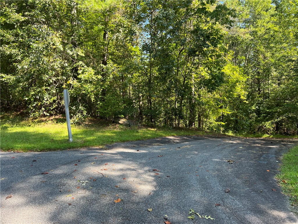 20 Vineyard Park Sunset, SC 29685 - Photo 5 of 9