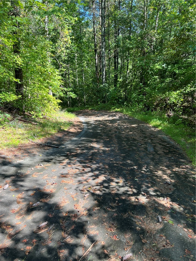 20 Vineyard Park Sunset, SC 29685 - Photo 6 of 9