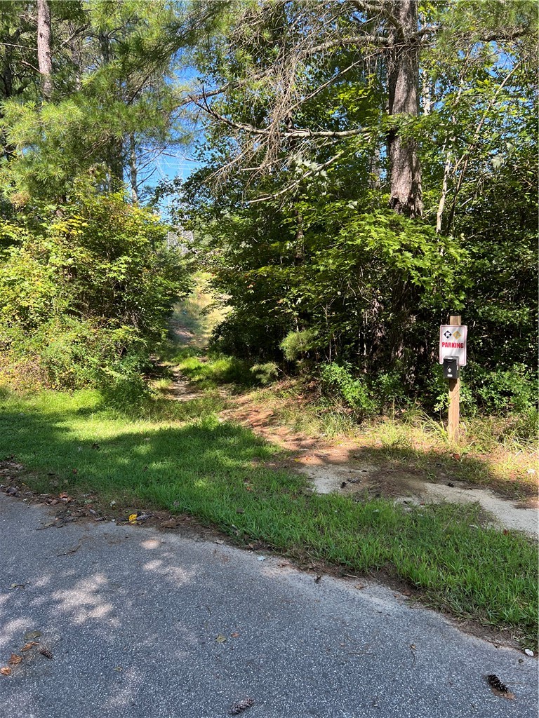 20 Vineyard Park Sunset, SC 29685 - Photo 7 of 9