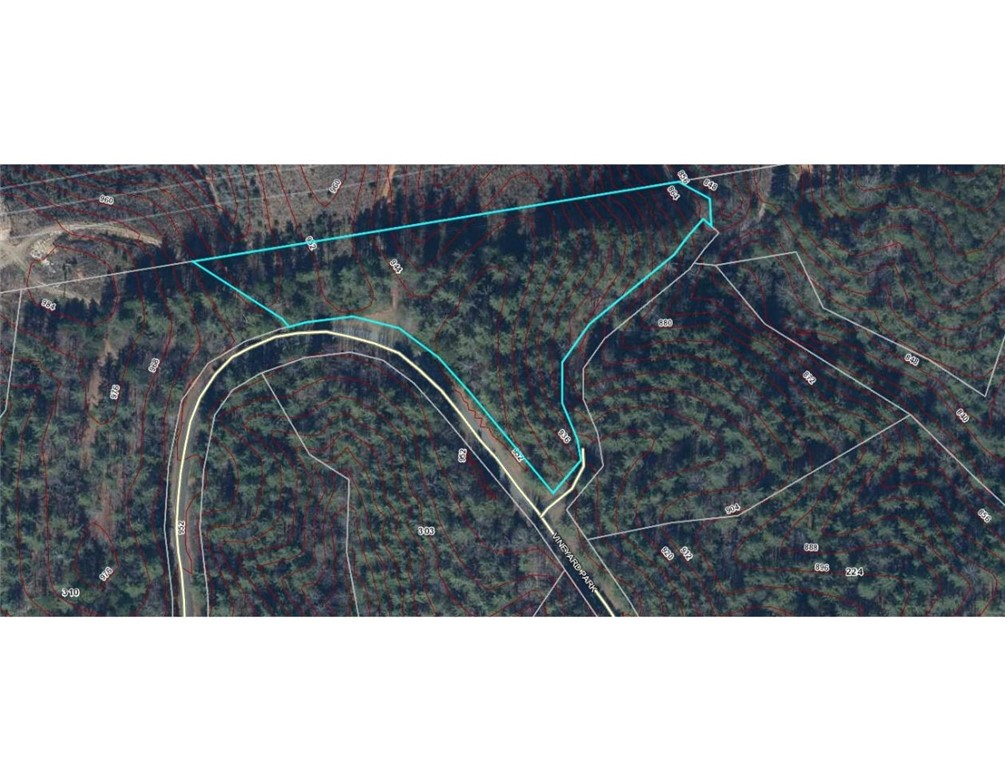 20 Vineyard Park Sunset, SC 29685 - Photo 9 of 9