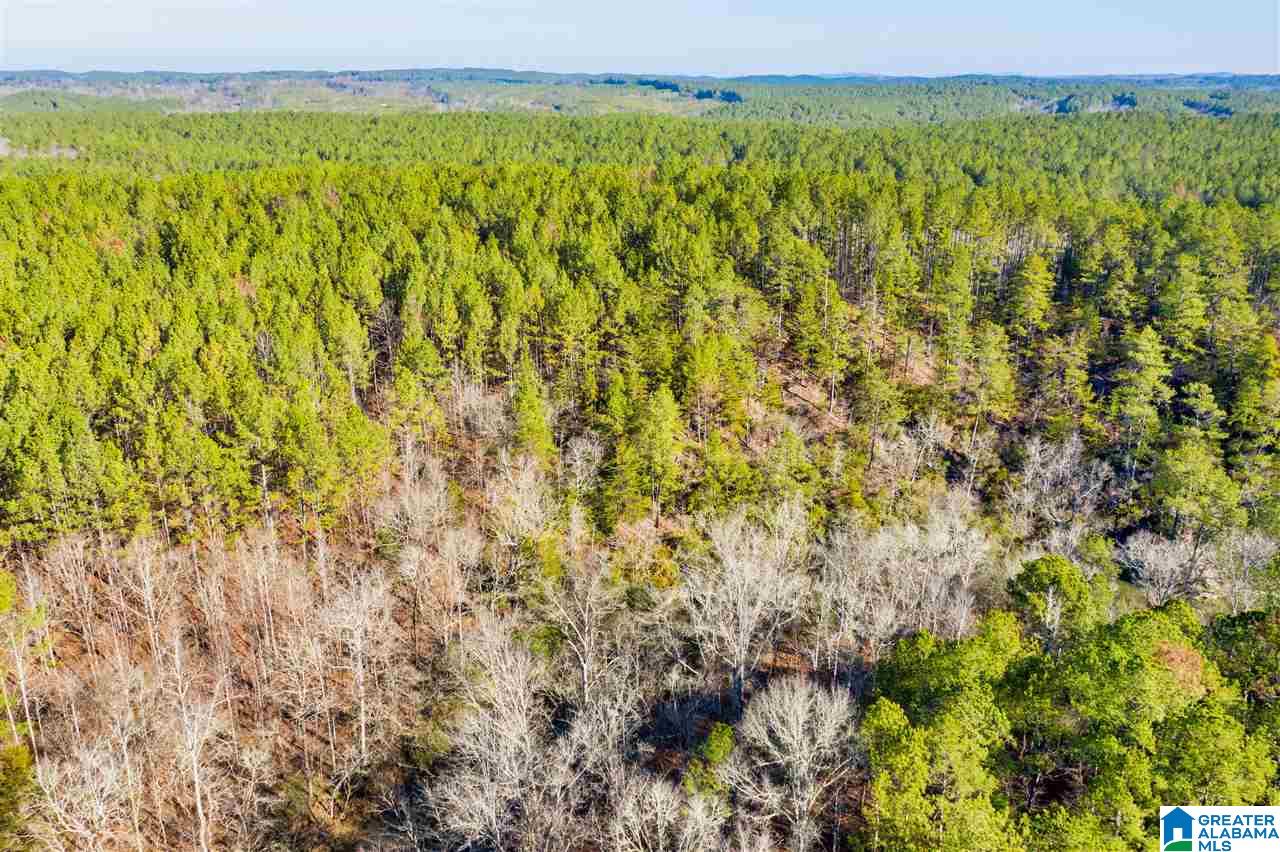 0 County Road 8, Unit 1 Clanton, AL 35045 - Photo 28 of 30