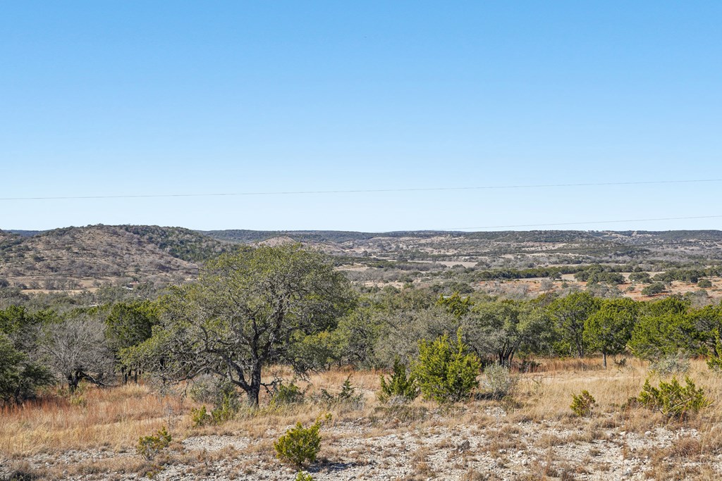 450 South Fork Road East Comfort, TX 78013 - Photo 12 of 36 a view of a forest with mountains in the background