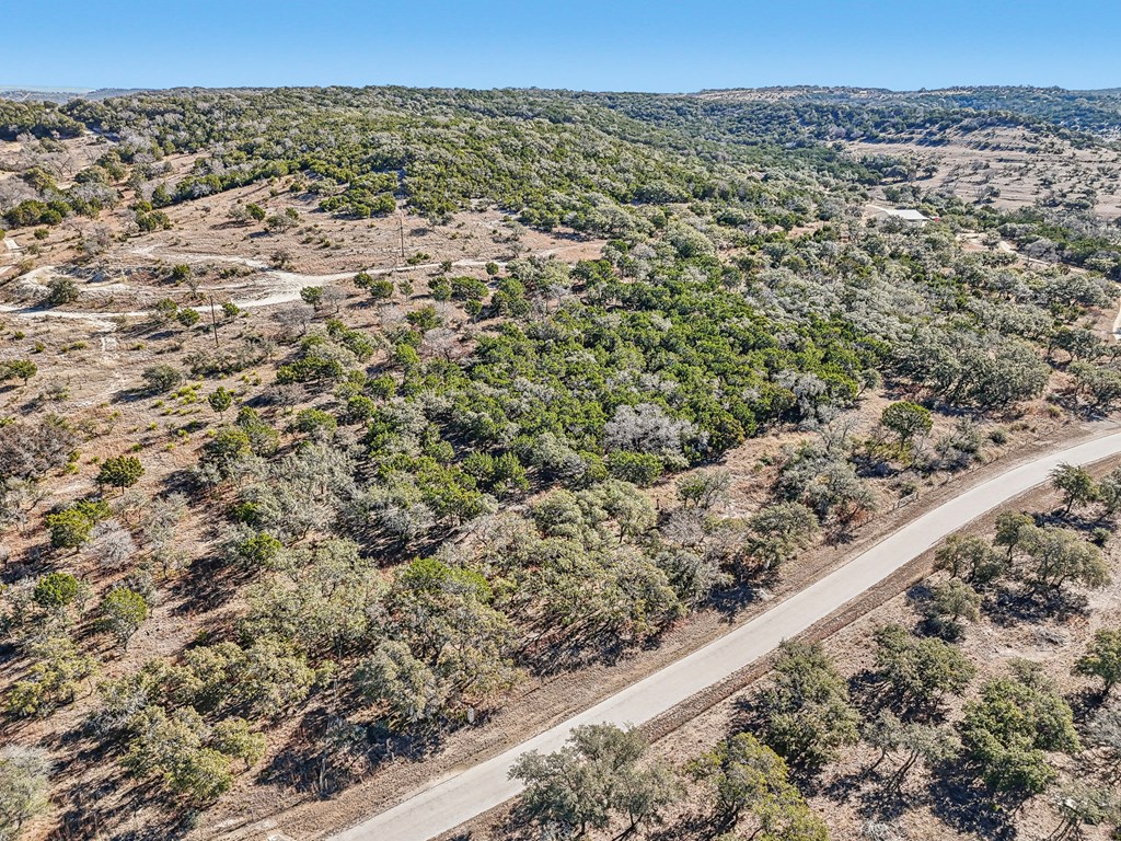 450 South Fork Road East Comfort, TX 78013 - Photo 14 of 36 a view of a field with a forest