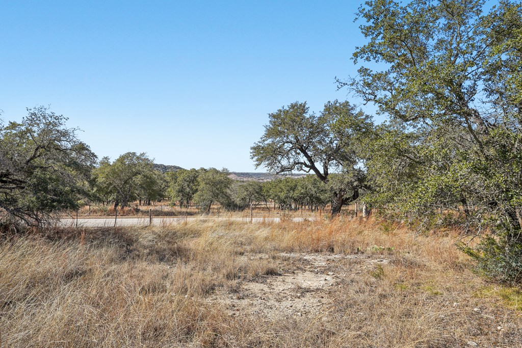 450 South Fork Road East Comfort, TX 78013 - Photo 15 of 36 a view of a lake with trees in the background
