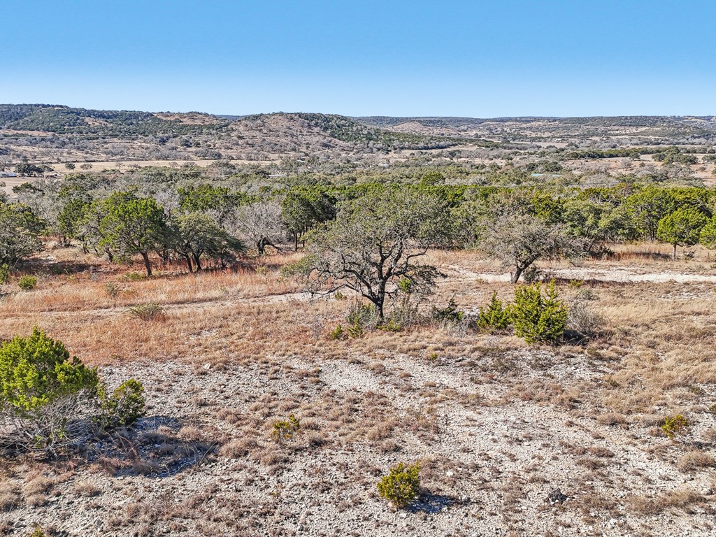 450 South Fork Road East Comfort, TX 78013 - Photo 20 of 36 a view of a yard with a mountain