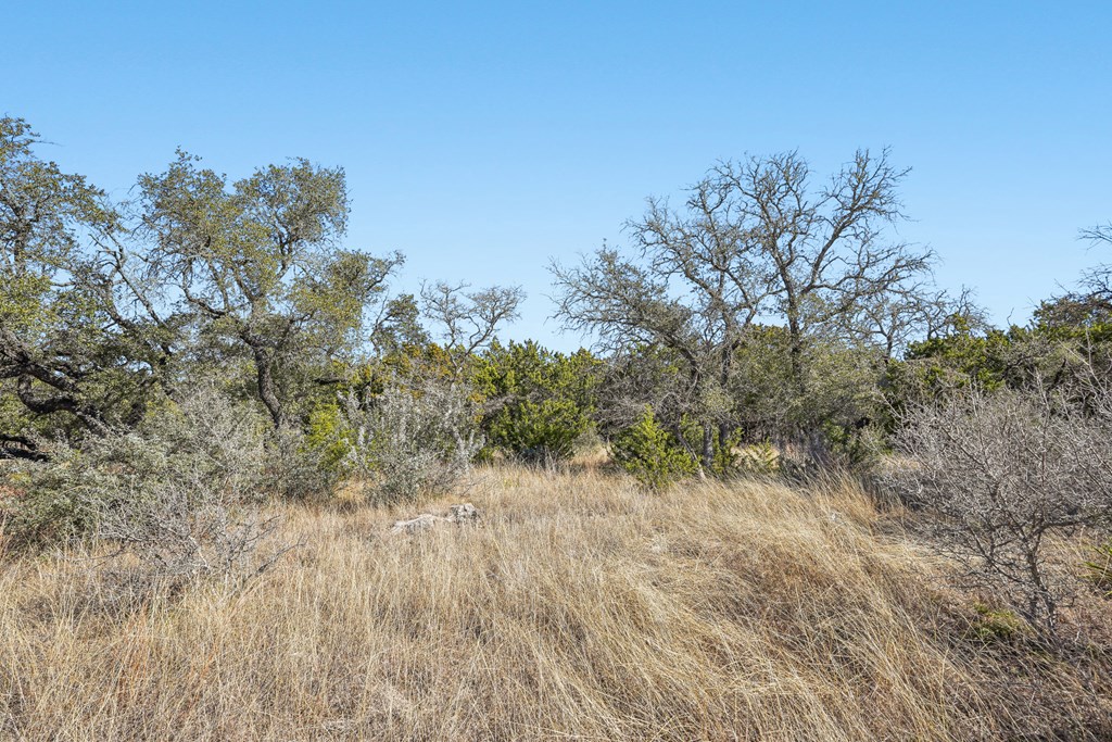 450 South Fork Road East Comfort, TX 78013 - Photo 25 of 36 a view of a yard with a tree