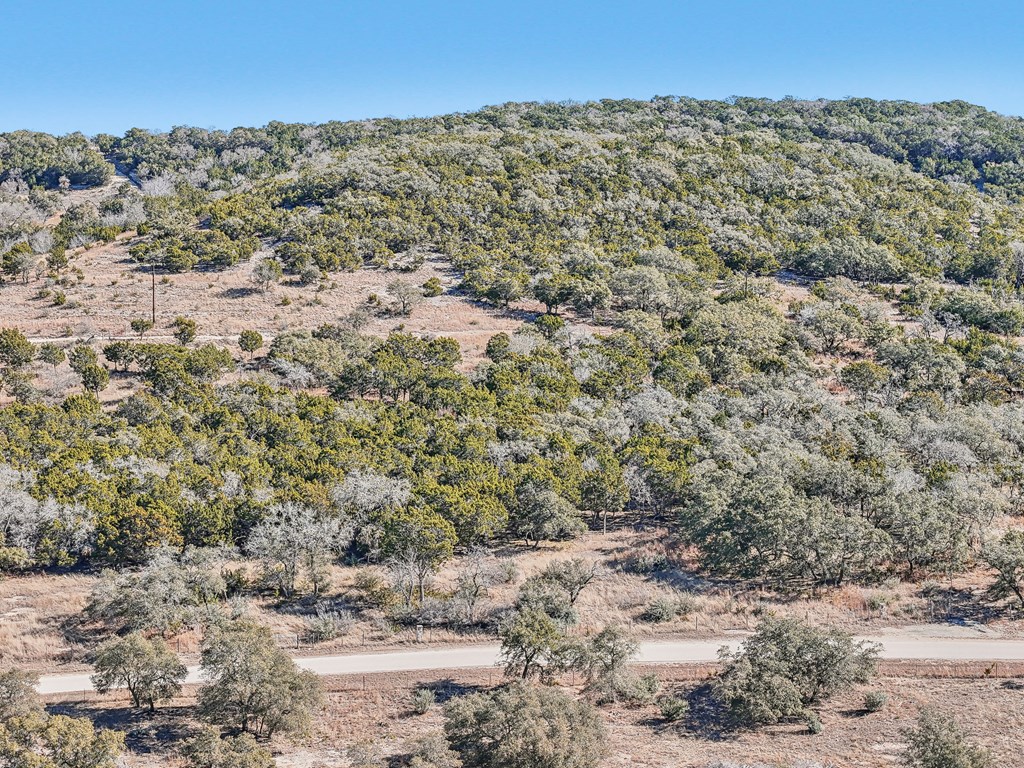 450 South Fork Road East Comfort, TX 78013 - Photo 26 of 36 a view of a dry yard with trees and mountains in the background
