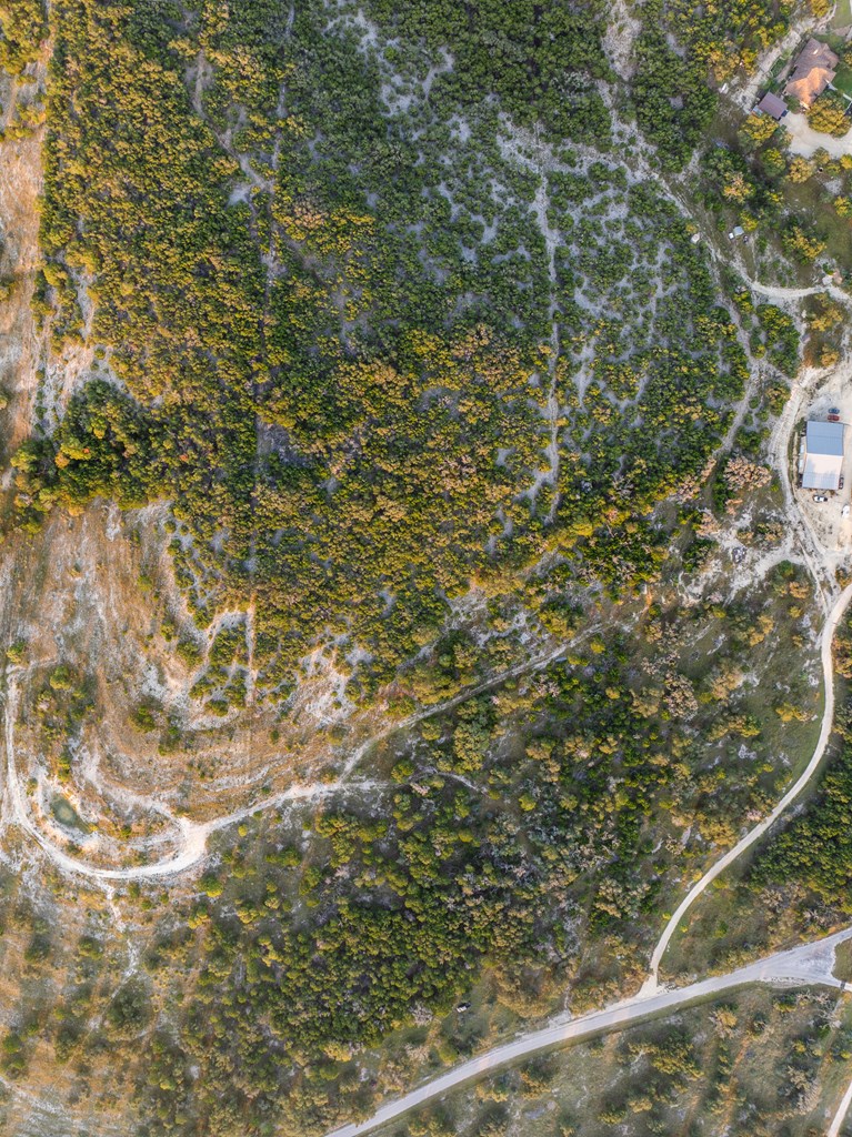 450 South Fork Road East Comfort, TX 78013 - Photo 32 of 36 a view of a yard