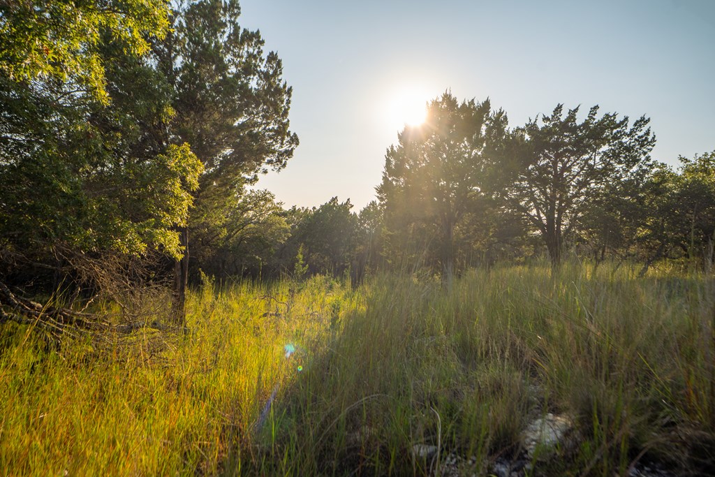 450 South Fork Road East Comfort, TX 78013 - Photo 7 of 36 a view of a lake from a yard