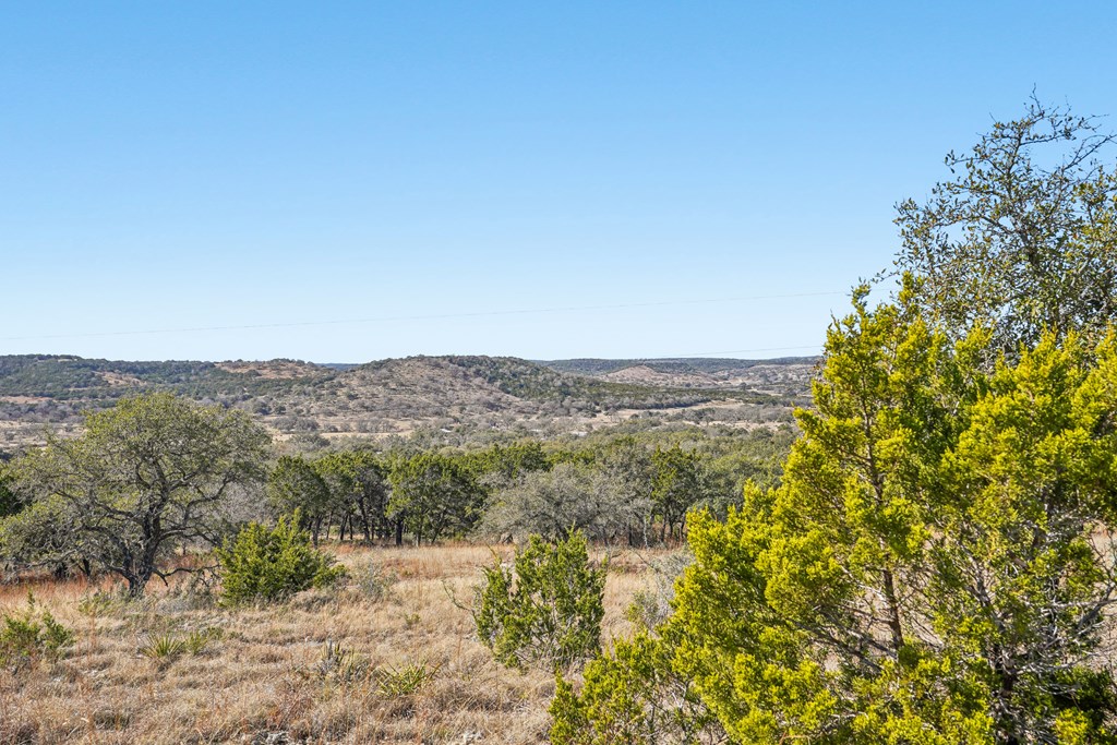 450 South Fork Road East Comfort, TX 78013 - Photo 10 of 36 a view of a yard with a tree
