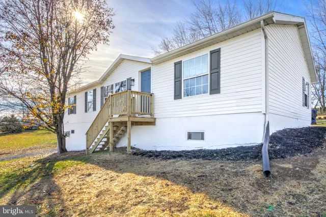 a view of road with large trees