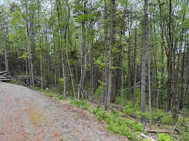 $69,000 | Lot 4 Ghastly Job Way, Wilmington, VT 05363