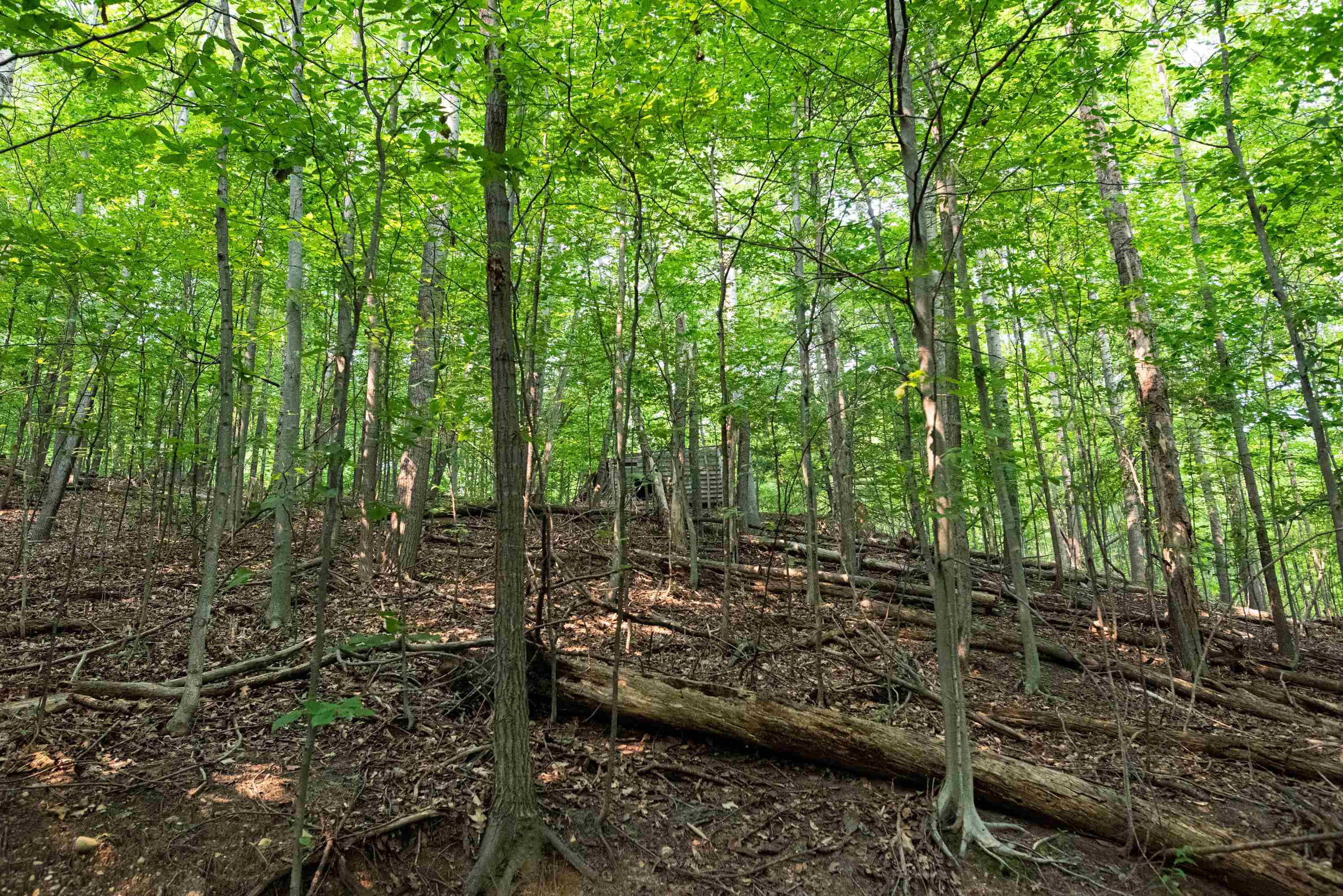 0 East Grandview Road Traverse City, MI 49684 - Photo 4 of 24