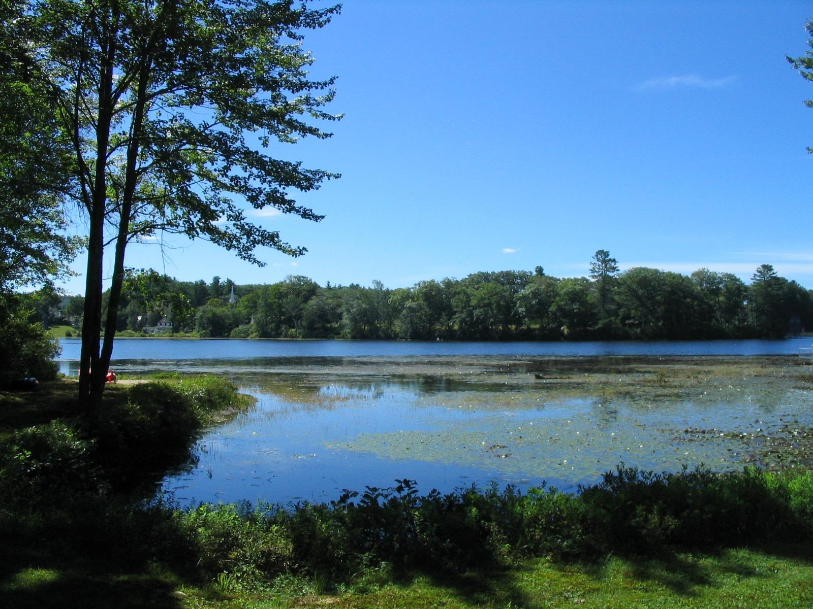 5 Pond Road Harrisville, NH 03450 - Photo 5 of 10