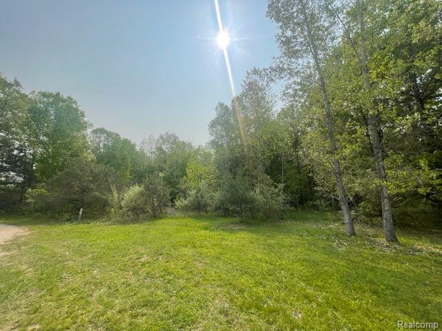 3805 West Prairie Road Shepherd, MI 48883 - Photo 12 of 36