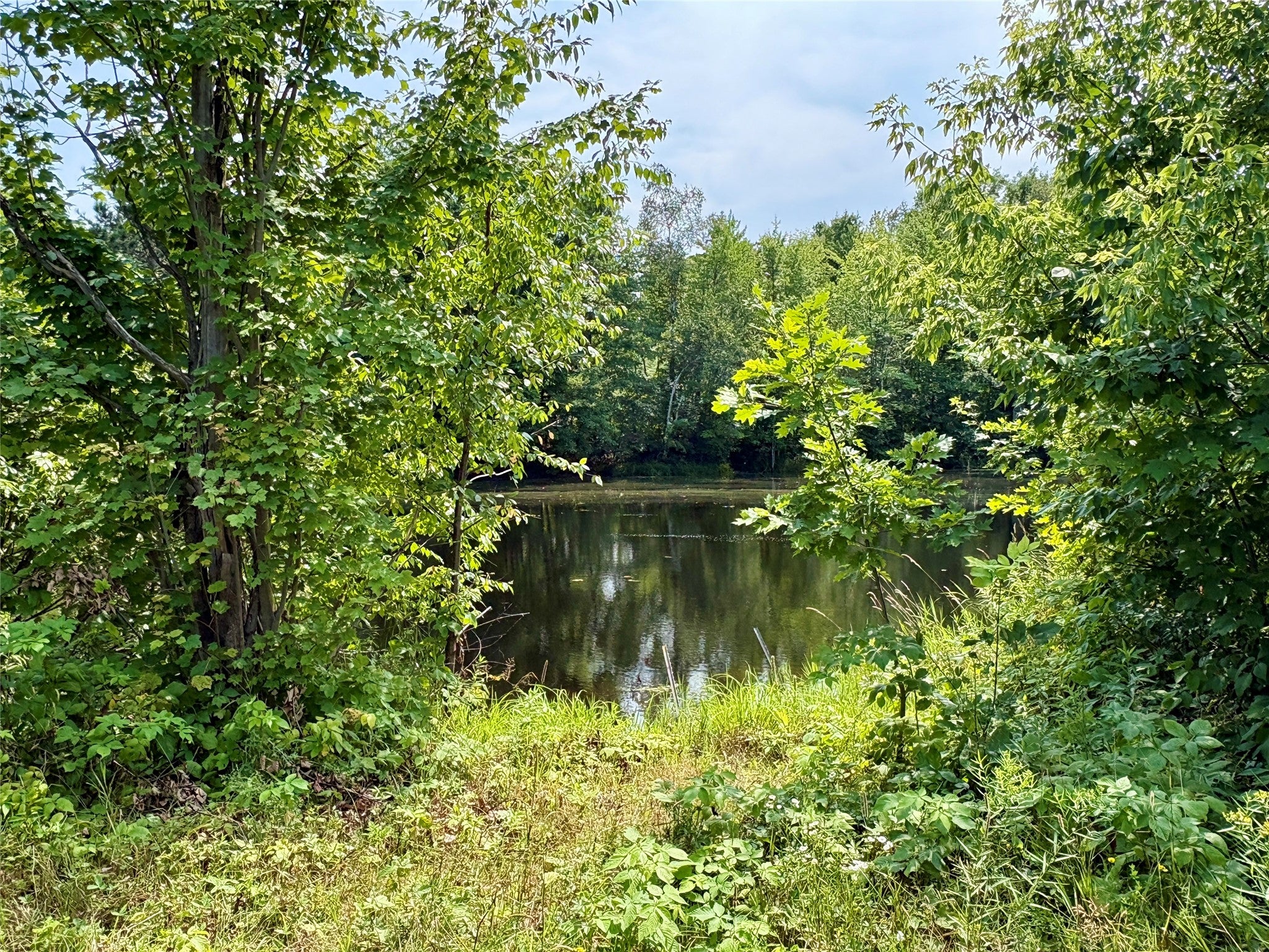 Tbd 27th Street Chetek, WI 54728 - Photo 33 of 55 Gallery Image 33