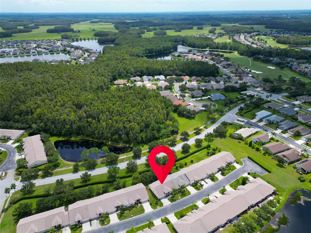 12148 Aaron Terrace Trinity, FL 34655 - Photo 34 of 35