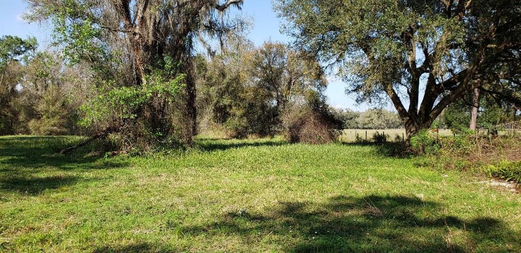 Southwest 80th Avenue Bushnell, FL 33513 - Photo 1 of 1 Gallery Image 1