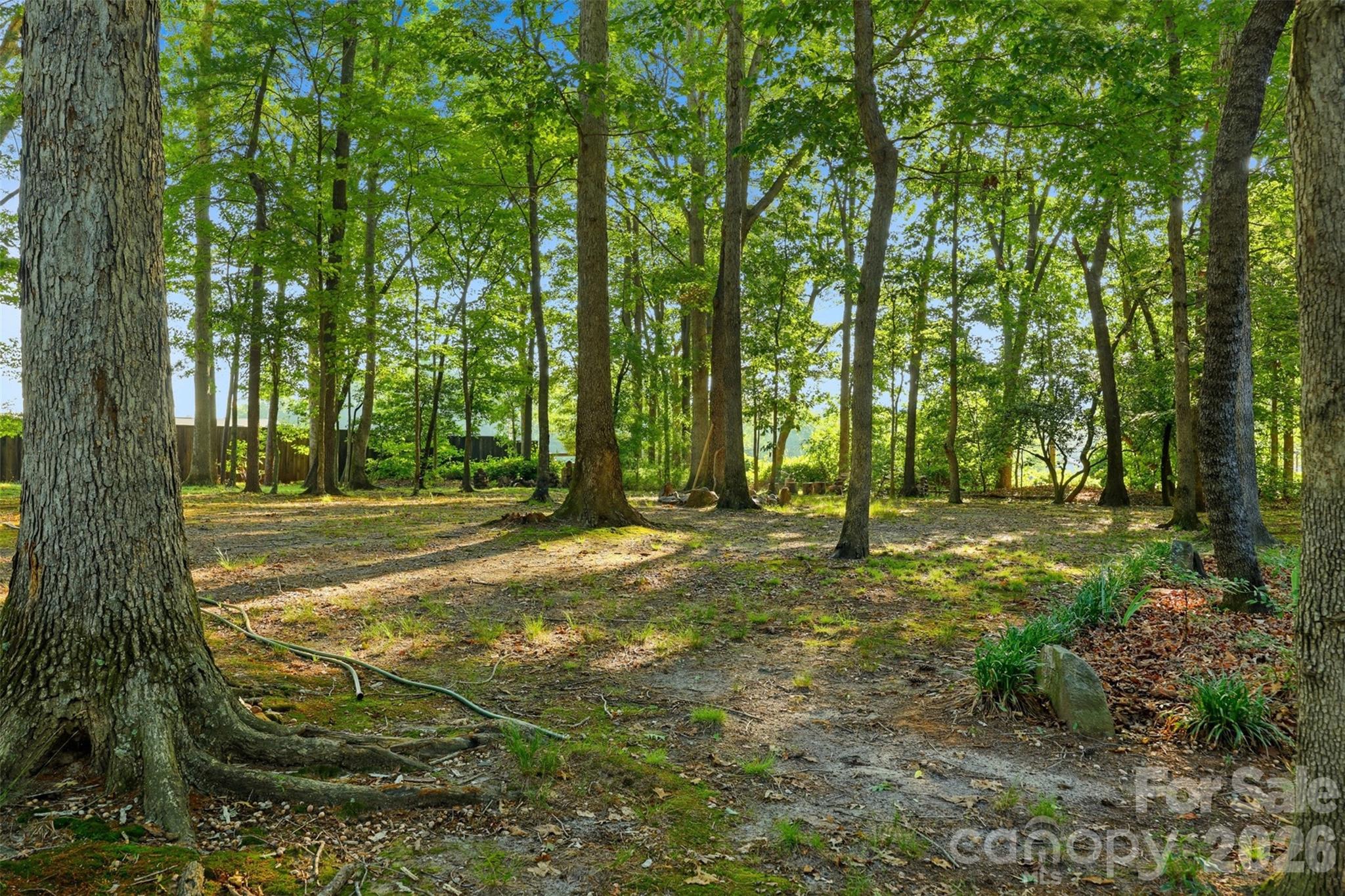 975 Jay Burke Road Taylorsville, NC 28681 - Photo 38 of 45
