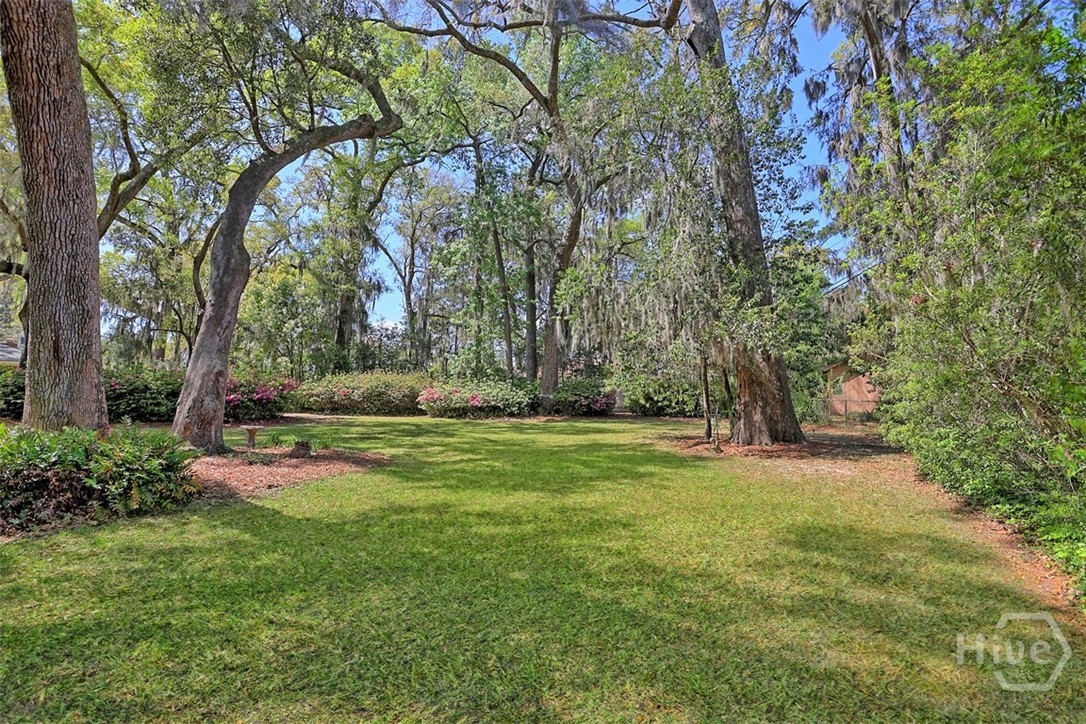 7 Mistletoe Court Savannah, GA 31419 - Photo 41 of 46