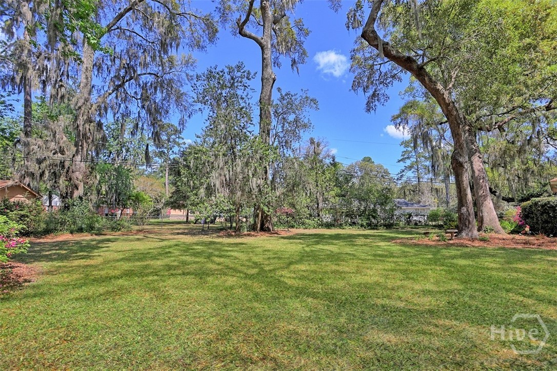 7 Mistletoe Court Savannah, GA 31419 - Photo 42 of 46