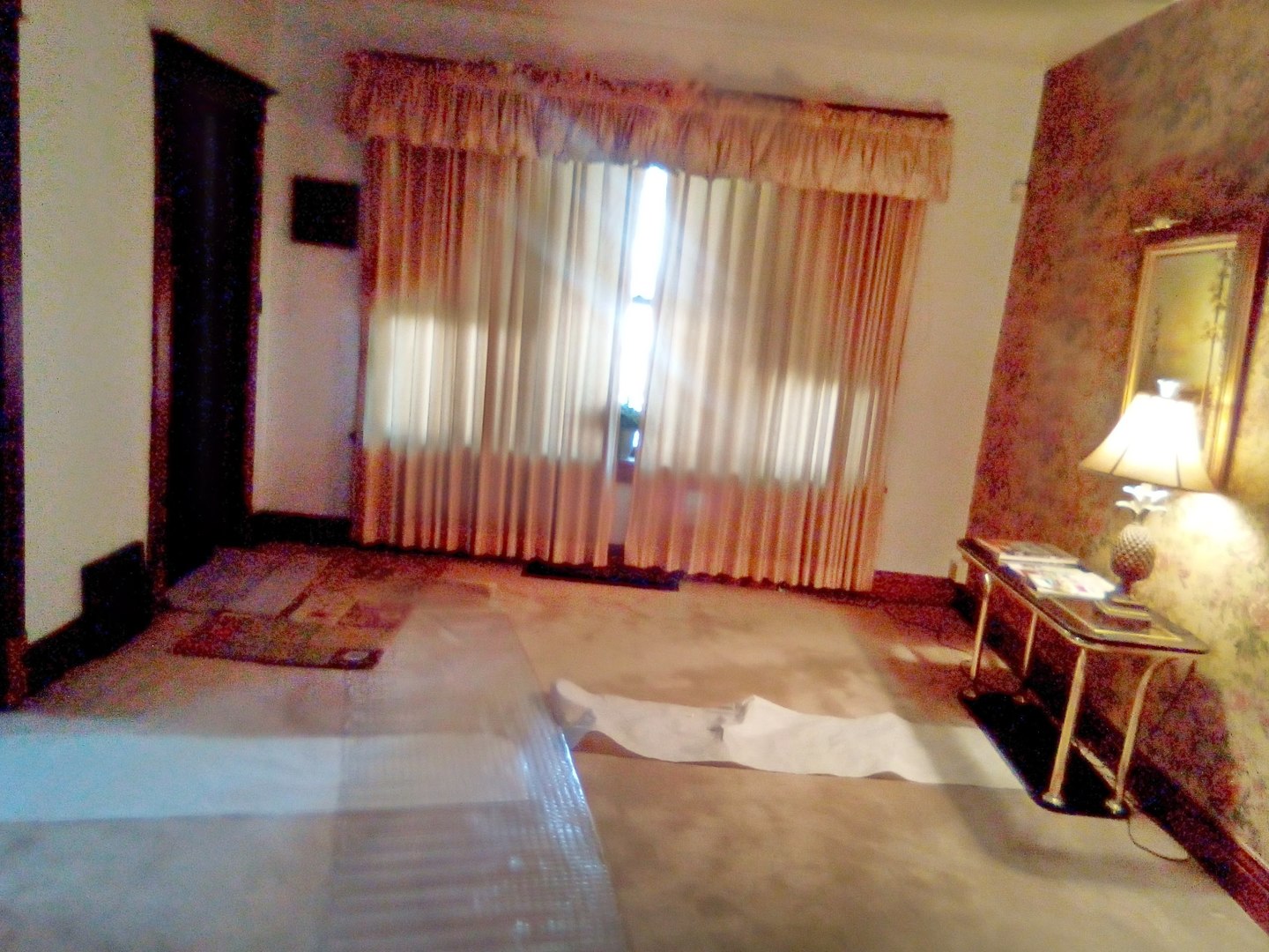 143 West 107th Street Chicago, IL 60628 - Photo 5 of 8