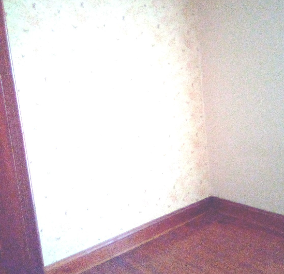143 West 107th Street Chicago, IL 60628 - Photo 6 of 8