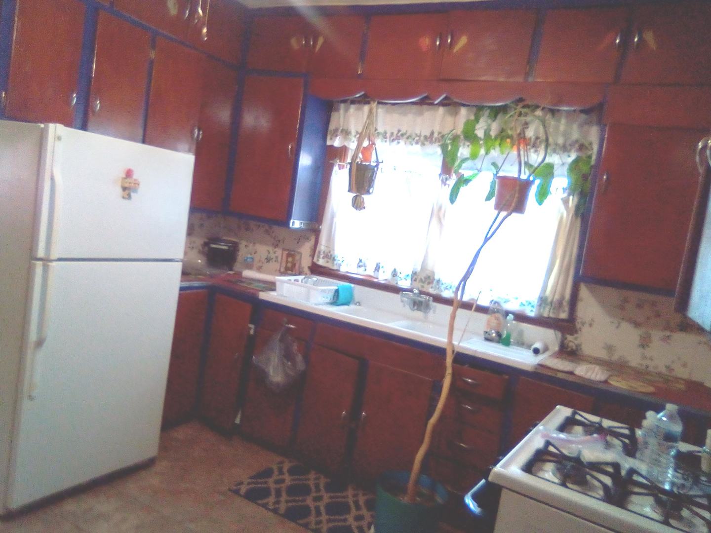 143 West 107th Street Chicago, IL 60628 - Photo 7 of 8