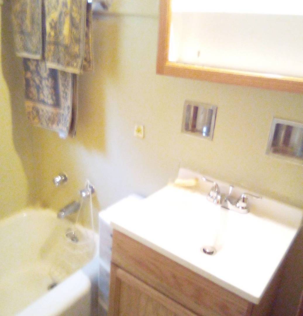 143 West 107th Street Chicago, IL 60628 - Photo 8 of 8