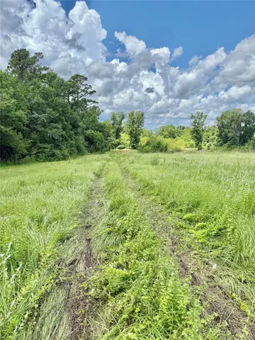 $1,800 | 16981 Highway 146, Liberty, TX 77575