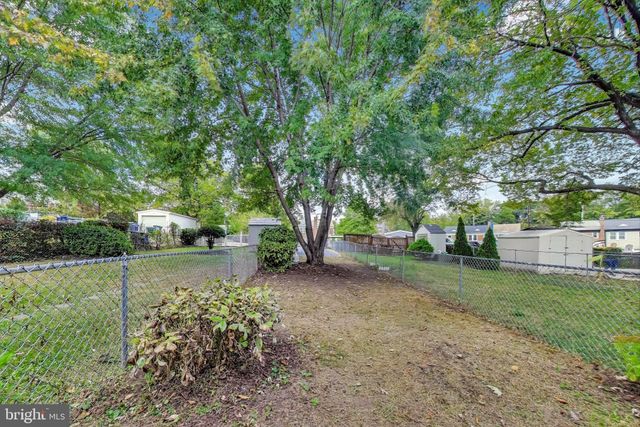a view of a backyard with large trees
