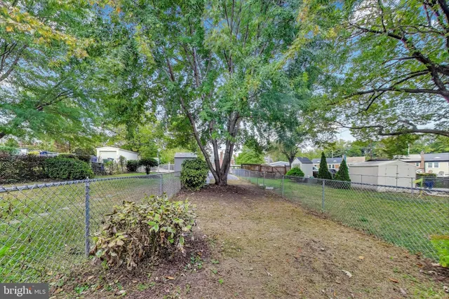 a view of a backyard with large trees