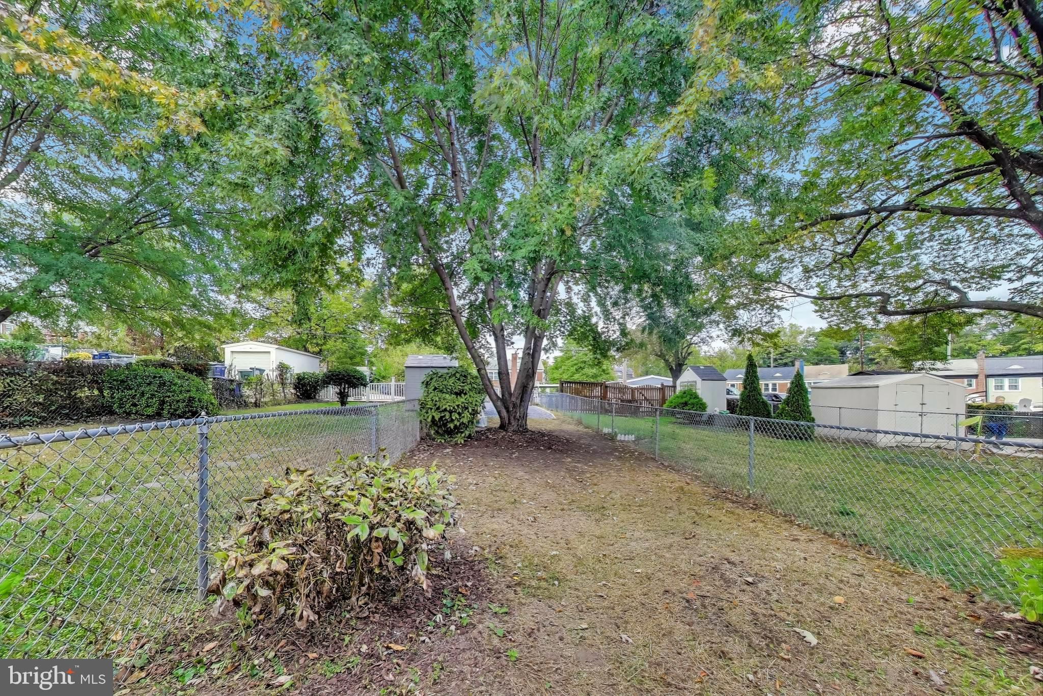 418 Peabody Street Northeast Washington, DC 20011 - Photo 16 of 20 a view of a backyard with large trees