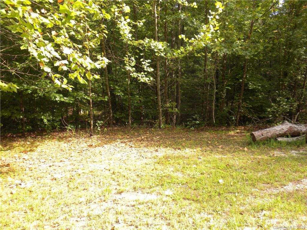 13 Dobsons Knob Loop Road, Unit 13 Marion, NC 28752 - Photo 2 of 4